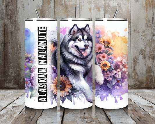 Tumbler Alaskan Malamute
