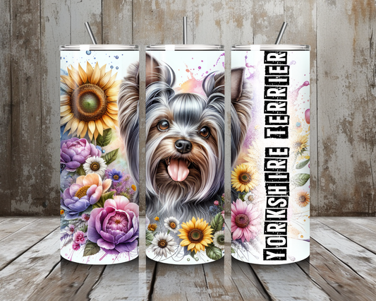 Tumbler Yorkshire Terrier