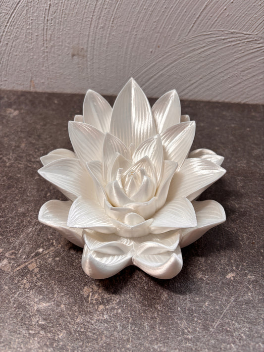 Lotusblume Buchhalter