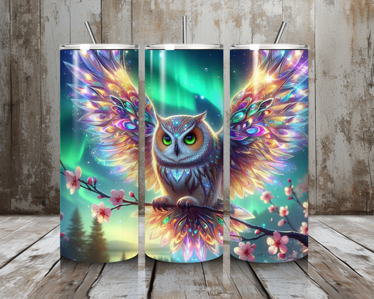 Tumbler Nordlichteule 1